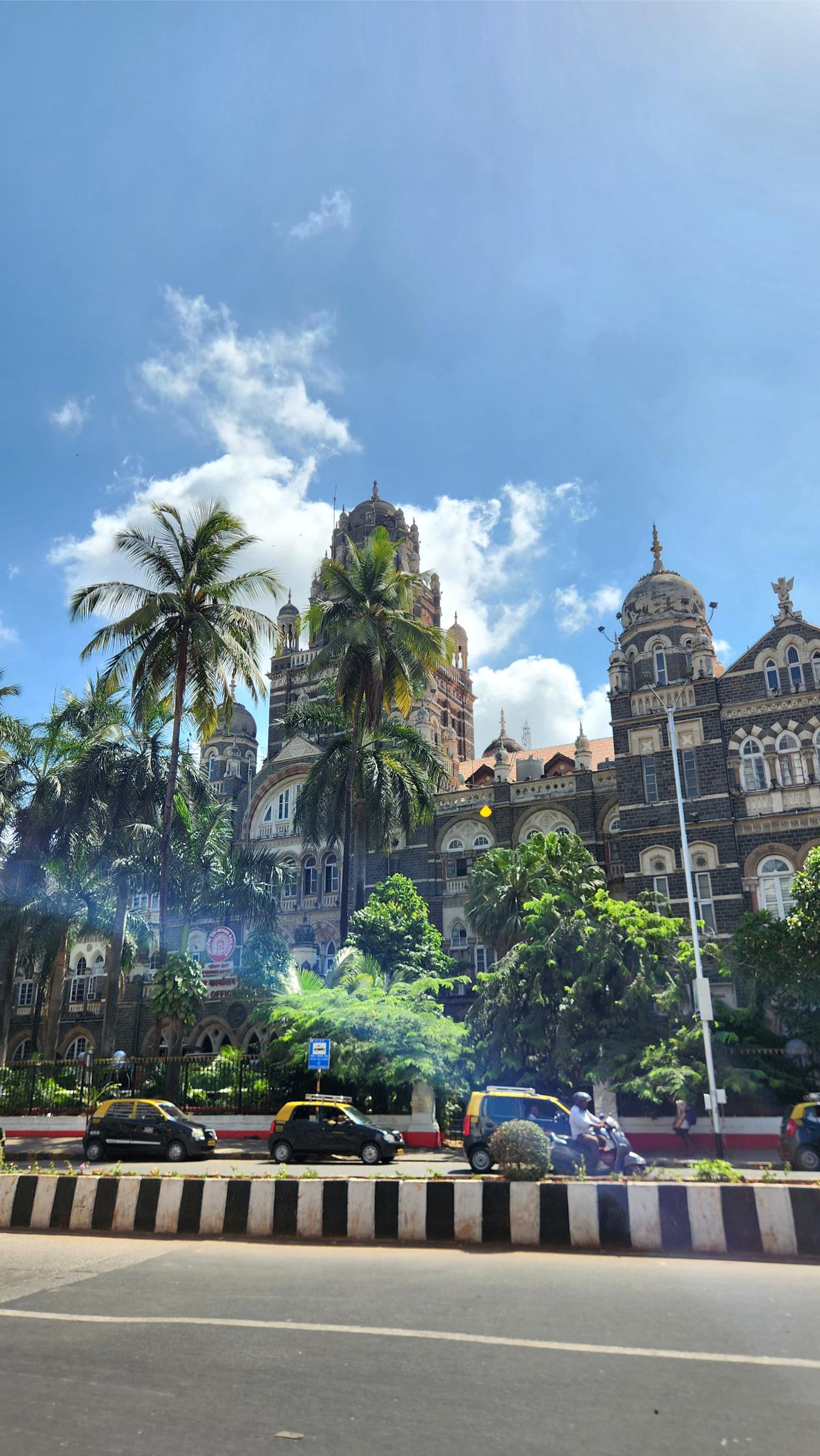 Lush southern India street with palms.