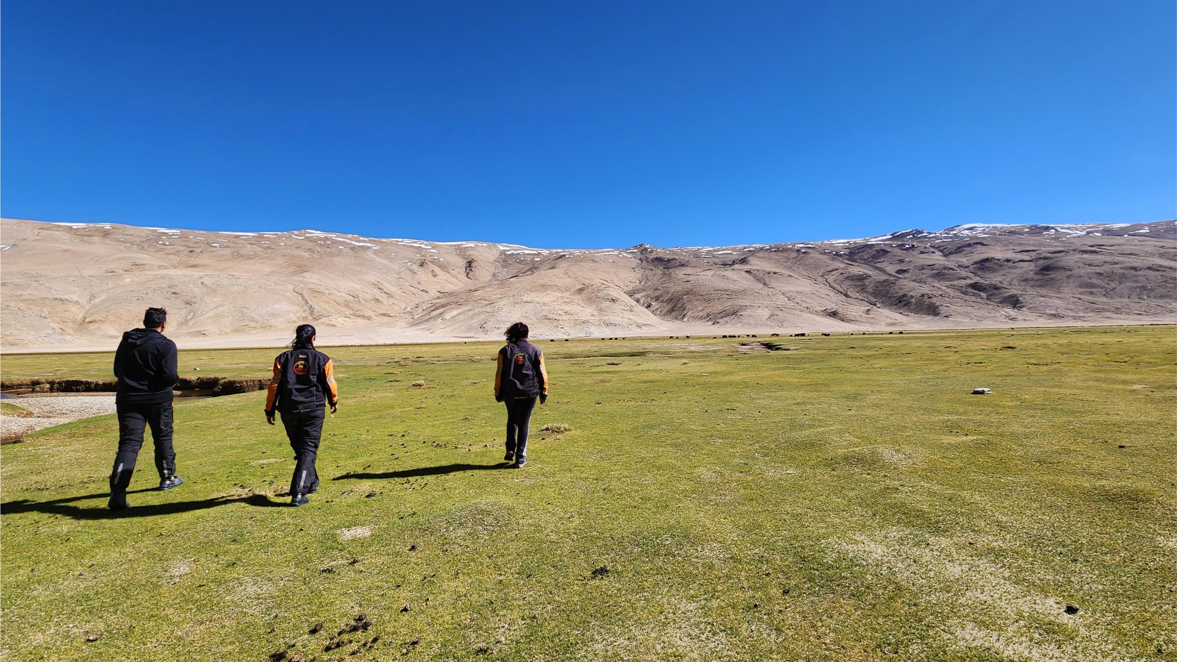 Riders walking across an open high-altitude landscape.